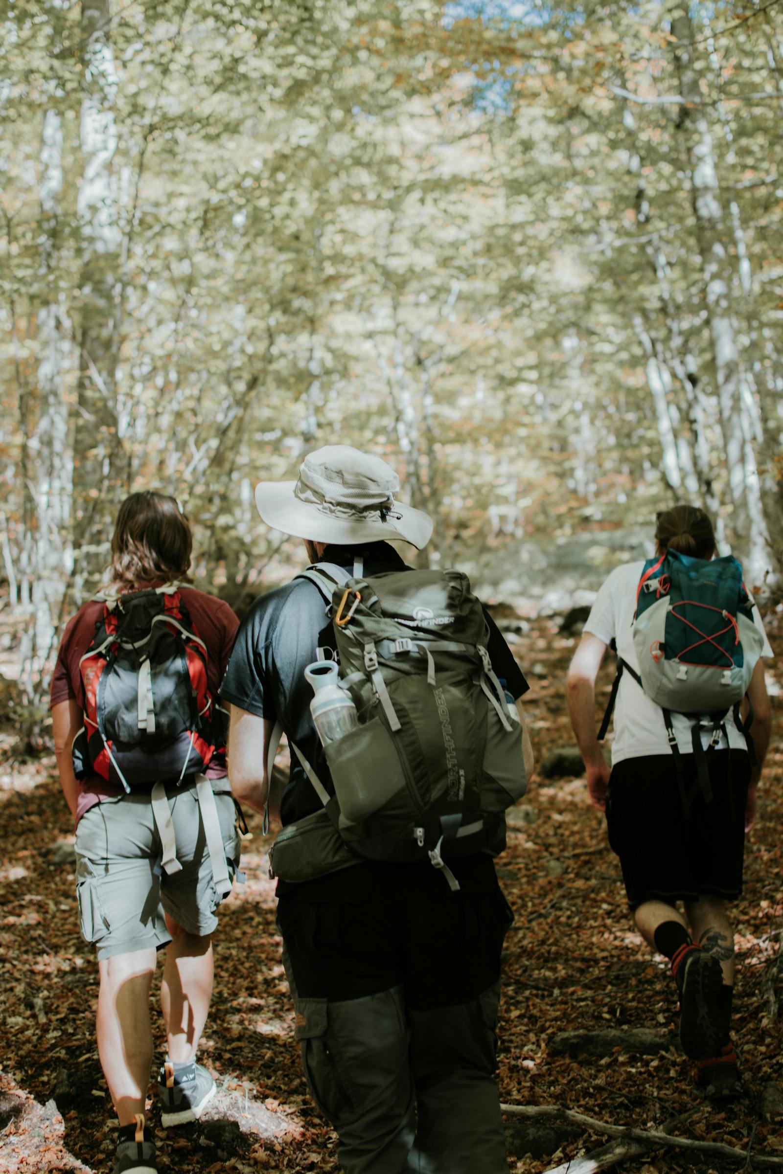 Trekking guidato