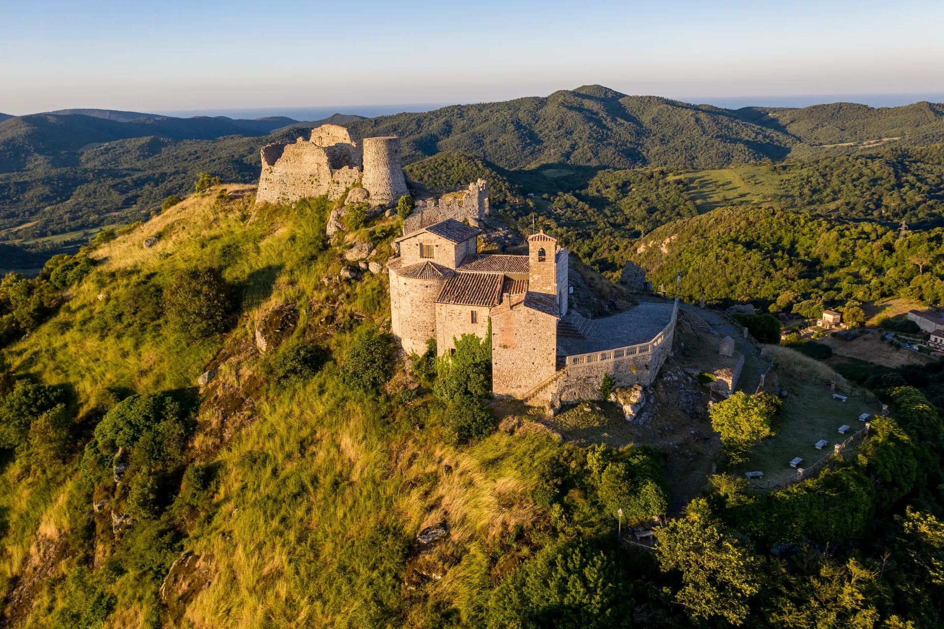 Ulivi e colline della Tolfa al tramonto